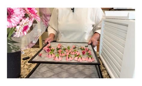 Using Dehydrator To Dry Flowers