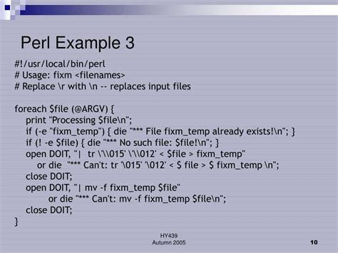Using Fork Perl Example