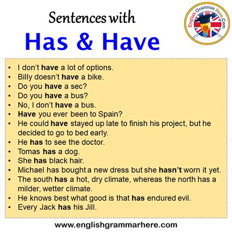using has and have in a sentence examples