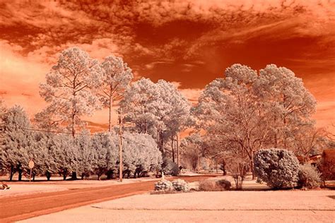 Using Infrared Filter On Dslr