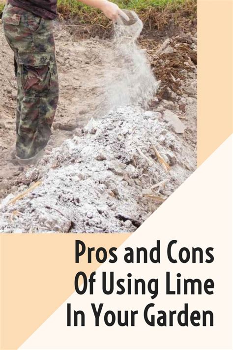 Using Lime In Your Garden