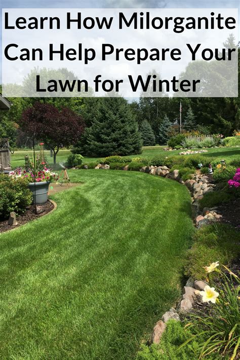 Using Milorganite In Fall