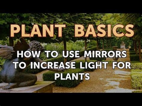 Using Mirrors To Increase Light In Garden