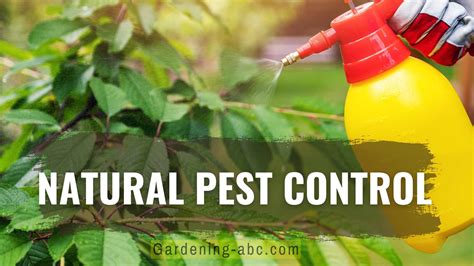 Using natural pest control