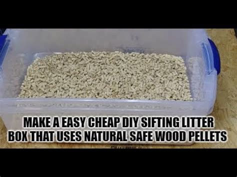 Using Pine Pellets For Dog Litter