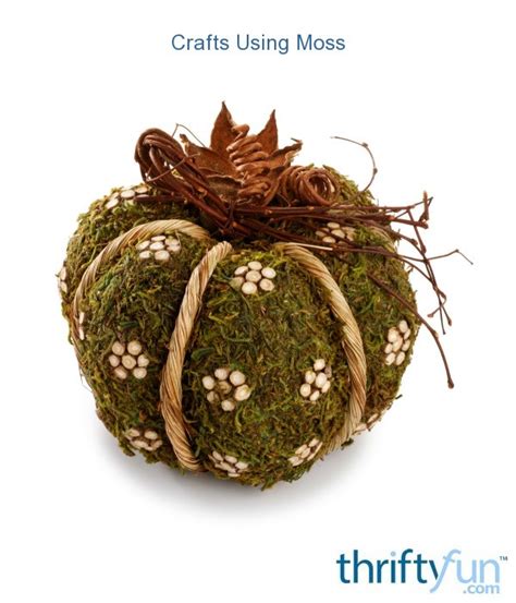 Using Real Moss For Crafts