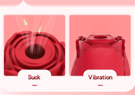 Maximize Pleasure with Your Using Rose Toy: A Guide