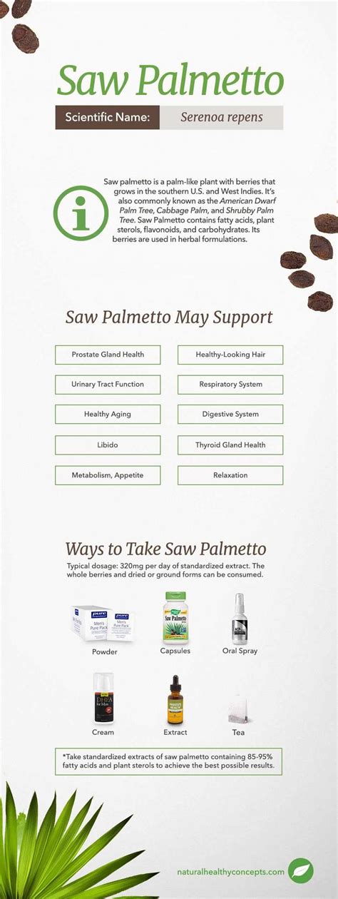 Using Saw Palmetto