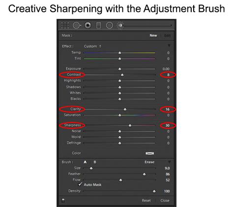 Using Sharpening In Lightroom
