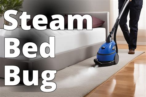 Using Steam Cleaner For Bed Bugs
