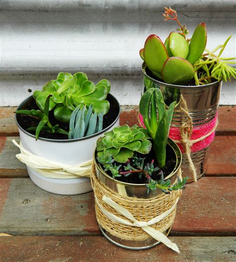 Using Tin Cans In Garden
