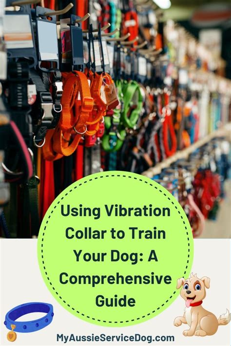 Dog Training Collars Dog Anti Bark Vibration Collar Pet barking trainer