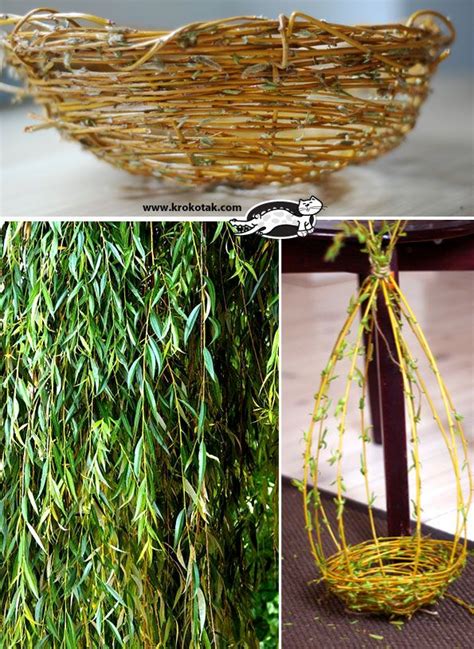 Using Weeping Willow For Weaving
