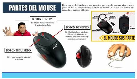 Consejos Para Maximizar El Uso Del Mouse | Informática