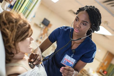 uta nursing degree online