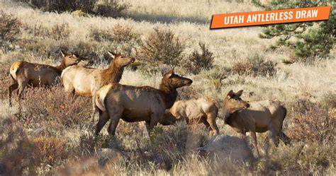 Utah Big Game Odds The single most helpful collection of information available on Utah draws