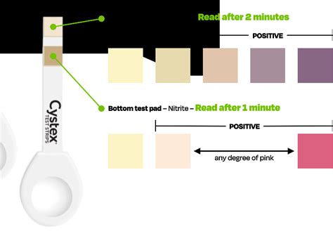 Accurate Diagnosis Made Easy: How to Use a UTI Test Strip for Quick Results