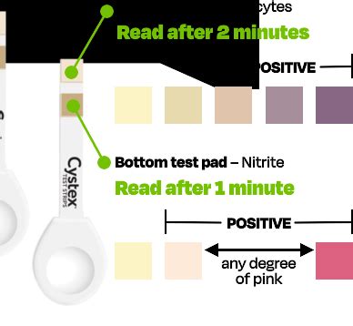 Uti Test Strips Explained