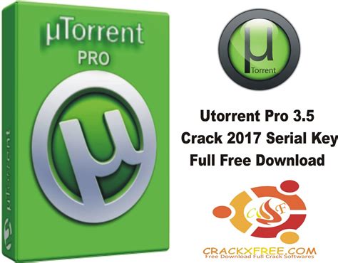 utorrent pro torrent