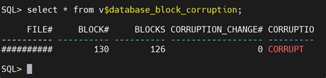 V$Database_Block_Corruption 10G