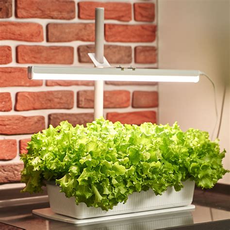 Växtbelysning Rusta