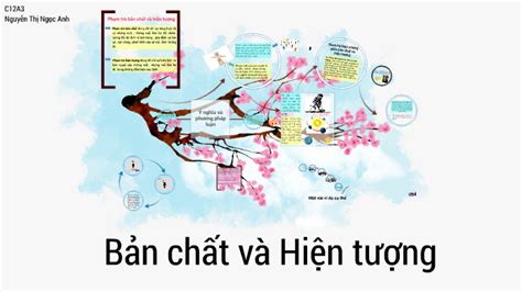 ví dụ của bản chất và hiện tượng