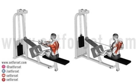 V Bar Cable Row Alternative