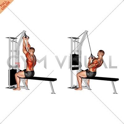 V Bar High Cable Row