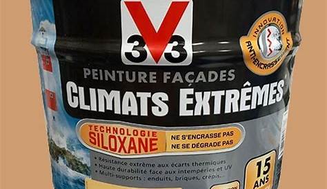 V33 Climat Extreme Facade Peinture Leroy Merlin Fer