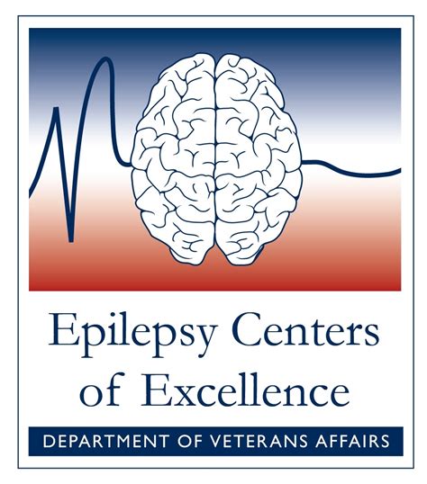 va epilepsy center of excellence