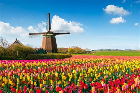 vacation packages to holland