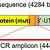 vaccine effectiveness of the bnt162b2 mrna covid-19 vaccine against rt-pcr confirmed sars-cov-2 infections