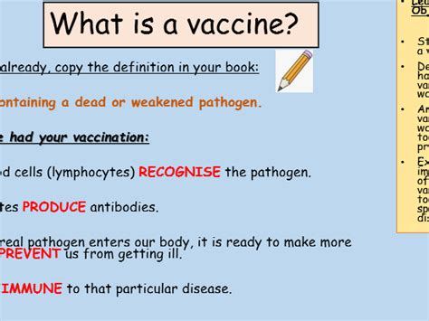 vaccine definition gcse