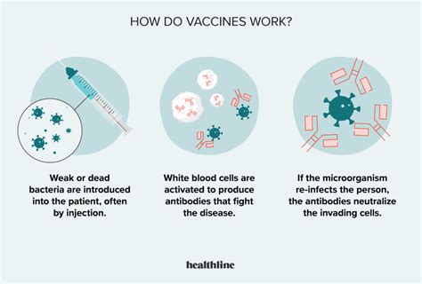 vaccine definition simple
