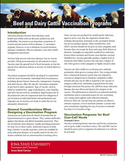 vaccine protocol for cattle