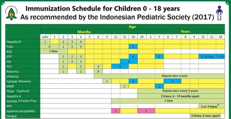 vaccines needed for indonesia