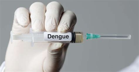 vacina da dengue no particular