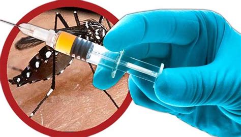 vacina da dengue tem desde quando