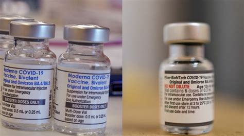 vacuna bivalente covid calendario