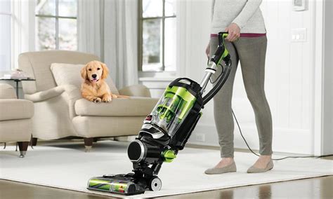 vacuum cleaners that pick up pet hair