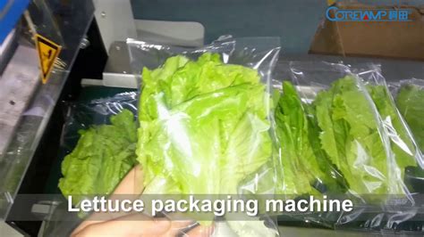 Vacuum Pack Lettuce