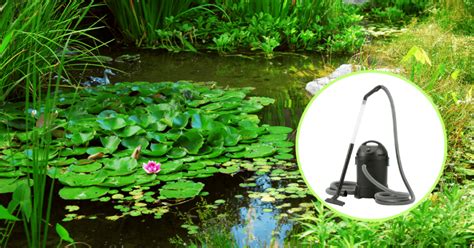 Vacuuming Pond Bottom