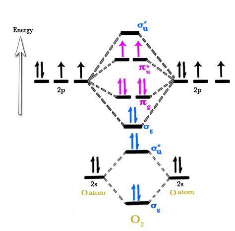[DIAGRAM] Valence Molecular Orbital Diagram For Nitrogen Vs Oxygen