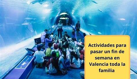 Actividades para toda la familia en Valencia - Paperblog