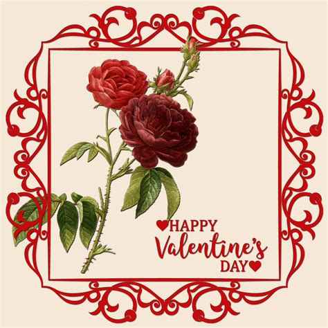 Pink Rose Valentines Day Ecards 2017 Valentine Card