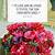 valentine quotes and flowers