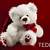 valentine week teddy day