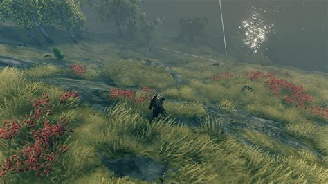 Valheim Fire Not Burning