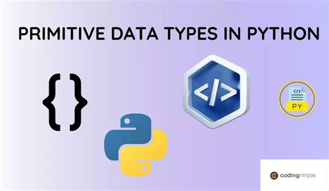 valid python primitive data types