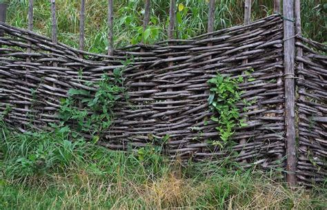 Valla De Madera Con Enredadera